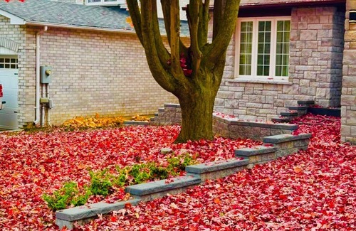 Aurora House | Luxury & Spacious 5BR Modern Villa | Stylish Stay Near Toronto
