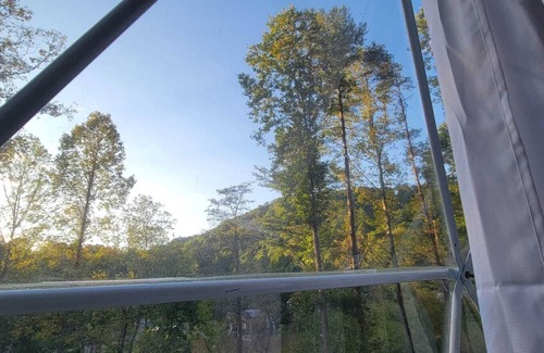 Robbinsville Cabin | Luxury Stargazing Dome On The Dragon's Tail