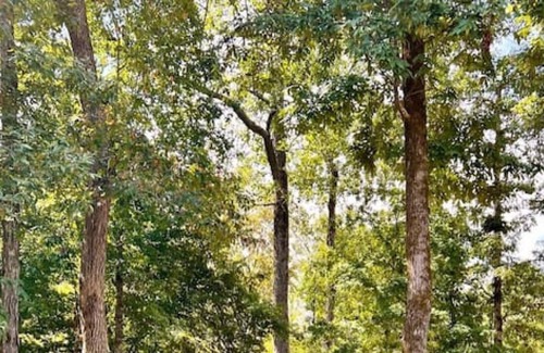 Rogersville House | Luxury stargazing waterfront glamping tent
