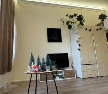 Orszagut Apartment | Luxury Studio Apartment