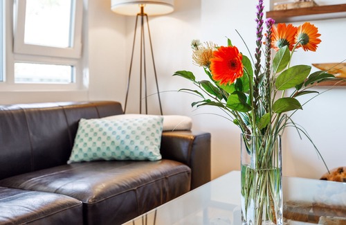 San Carlos Apartment | Luxury Suite With Amazing View!
