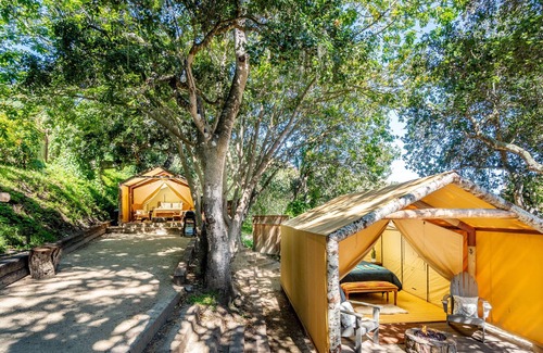 Carmel RV Rental | Luxury Tent - Pet Friendly