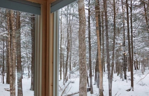 North Woodstock Cabin | Luxury Tiny Home Getaway- IRIS Home
