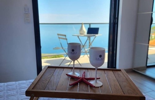 Cerbere Villa | Luxury villa facing the sea: swimming pool and Spa and elevator. Kayak paddle.