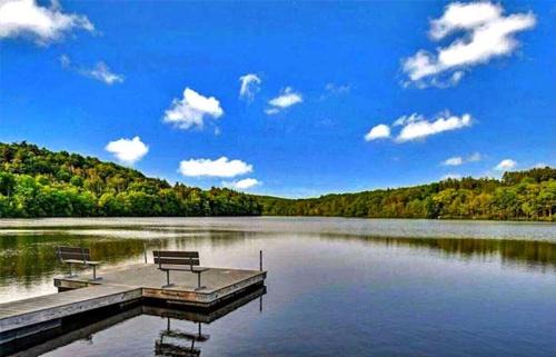 East Stroudsburg House | Luxury Villa- Hot Tub-King Bed Suite-Fenced Yard-Game Room-Fire Pit-Ski