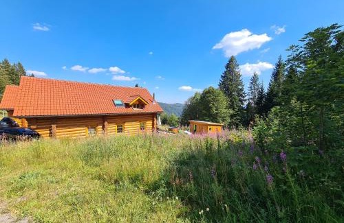 Feldberg House | Luxus-Ferienhaus Blockhaus Chalet Nr 1 Toplage am Feldberg mit Sauna, Outdoor-Hottub, Kamin auf 1300m üM