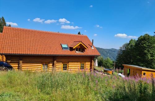 Feldberg House | Luxus-Ferienhaus Blockhaus Chalet Nr 1 Toplage am Feldberg mit Sauna, Outdoor-Hottub, Kamin auf 1300m üM