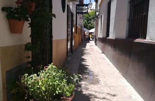 Santa Cruz Apartment | Luz Y Tranquilidad Barrio De Sta Cruz