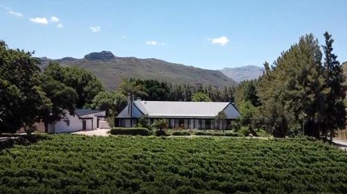 Cape Winelands House | Lynx Wine Estate