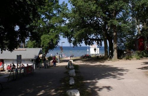 Zierow Apartment | Möwe am Strand - ABC58