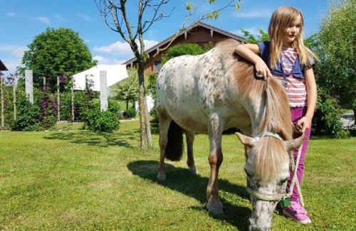 Petting House | Mühlberger Hof