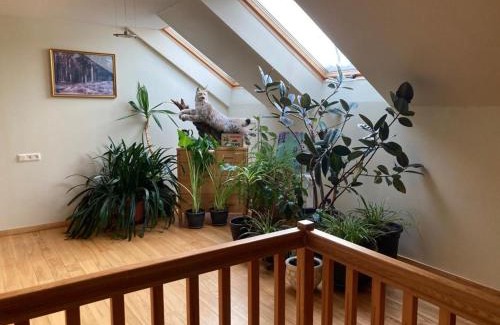 Ranka House | Mīlmaņi