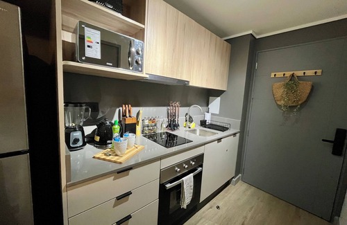 Downtown Santiago Apartment | M&C DC 108