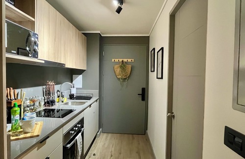 Downtown Santiago Apartment | M&C DC 108