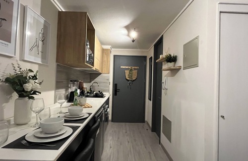 Downtown Santiago Apartment | M&C Departamento República 815