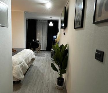 Downtown Santiago Apartment | M&C Departamento Republica 701