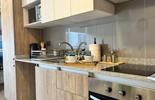 Downtown Santiago Apartment | M&C departamento SR418