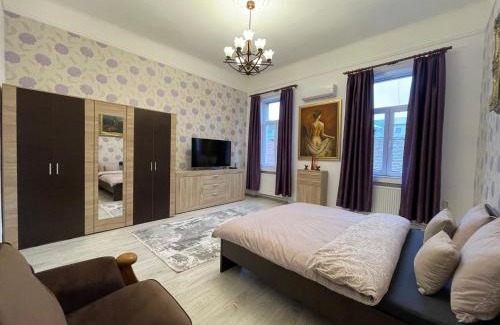 Tirgu Mures Apartment | M & I Apartment 4