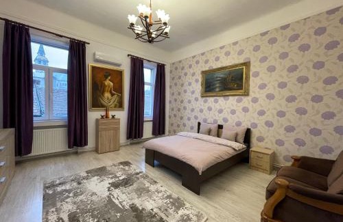 Tirgu Mures Apartment | M & I Apartment 4