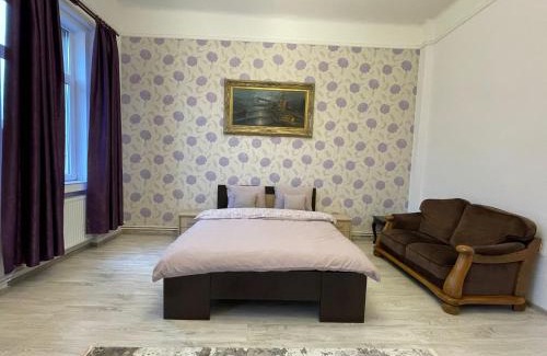 Tirgu Mures Apartment | M & I Apartment 4