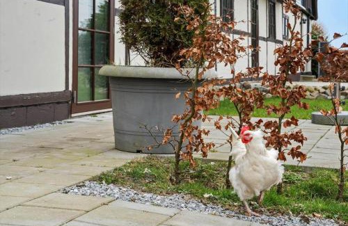 Vaeggerlose House | M367-Vaeggerlose-Marrebaek-Skovvej-4