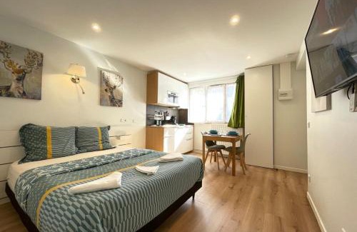 Quartier Centre Ville Apartment | M4 Coeur Massy RER BC 600m - Orly20 min
