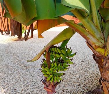 Saly Petite Cote House | Ma Demeure Africaine