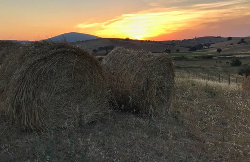 Capalbio Bed & Breakfast | Macchiabuia