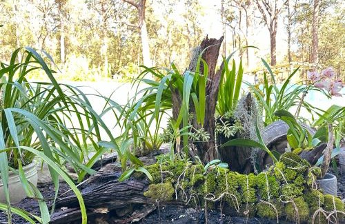 Woollamia House | Macyland