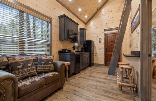 Rocky Grove Cabin | Maddron Bald | New Tiny Home + Wooded Balcony Views