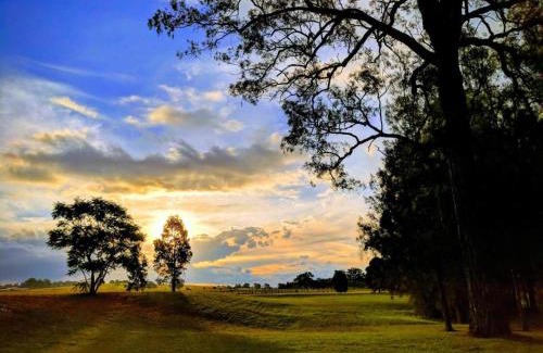 Lovedale House | Madigan Cottages - The Homestead