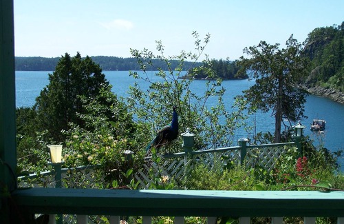 Deer Harbor House | Maggie's Manor: STARTING AT $199 1-4 Bedroom Waterfront Island Home. View!View!