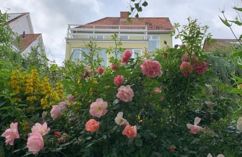 Glastonbury House | Magic of Avalon