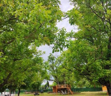 Imereti Apartment | Magical heaven Bazaleti