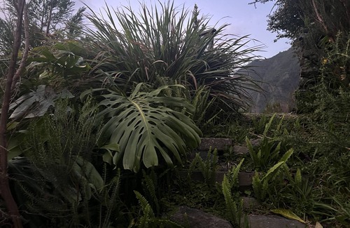 Sao Vicente Cottage | Magical Mountain Retreat - Zembica by Atlantic Holiday