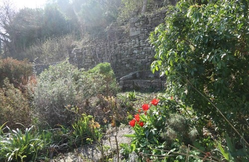 Forcalquier House | Magnificent building with swimming pool and garden in the heart of the village