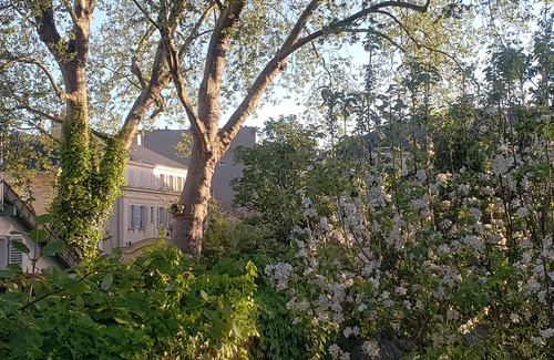 Saint-Louis House | Magnificent house with garden in Versailles - Paris