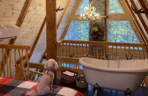 Mauricie Ski Chalet | Magnifique Chalet A-frame sur la Riviere