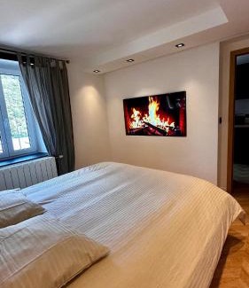 Besancon Old Town Apartment | Magnifique appartement centre ville de Besançon