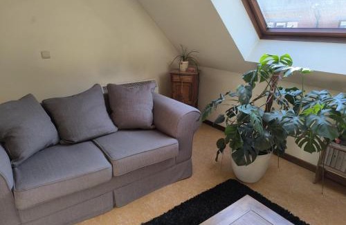 Jambes Apartment | Magnolia