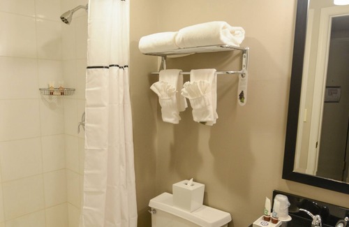Downtown St. Louis Hotel | Magnolia Hotel St. Louis, a Tribute Portfolio Hotel
