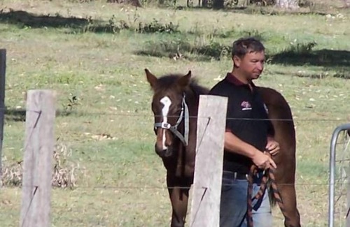 Boyland Other | Magpie Creek Thoroughbred Farmstay Family Unit