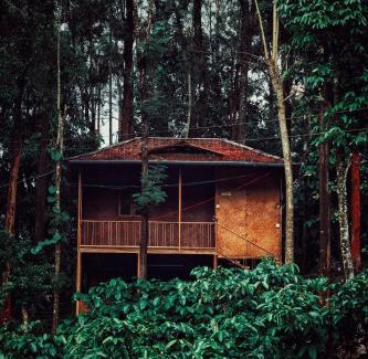 Kottappadi part Resort | Mahout Resort Wayanad - An Experiential Jungle Stay with Waterfall