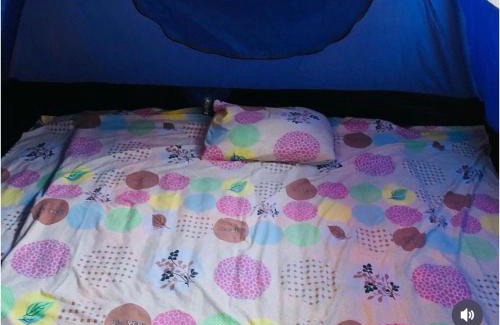 Bacocho Apartment | Mahue Rooms and Camping