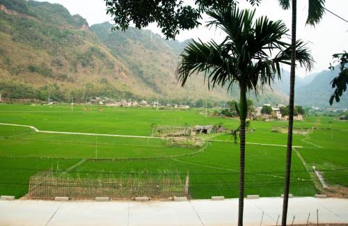 Mai Chau House | Mai Chau La Vida Homestay
