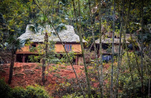 Mai Chau Cabin | Mai Chau Palm House