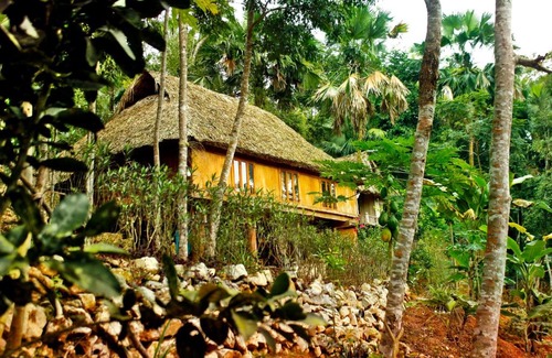 Mai Chau Cabin | Mai Chau Palm House