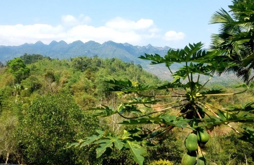 Mai Chau Cabin | Mai Chau Palm House