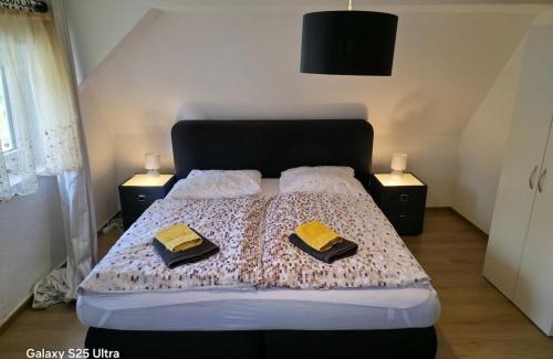 Clausthal-Zellerfeld House | MaiFerien Harz - Haus Silberquelle - bis 14 Personen