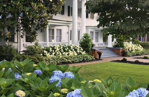 Walhalla House | Main Floor Elegant Suite